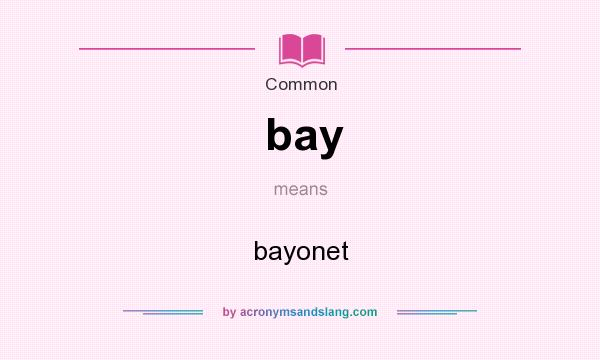 What does bay mean? It stands for bayonet