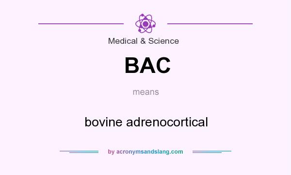 What does BAC mean? It stands for bovine adrenocortical