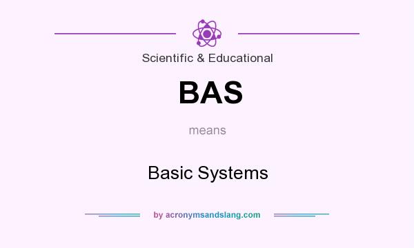 What does BAS mean? It stands for Basic Systems