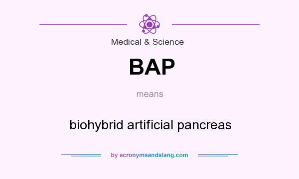 What does BAP mean? It stands for biohybrid artificial pancreas