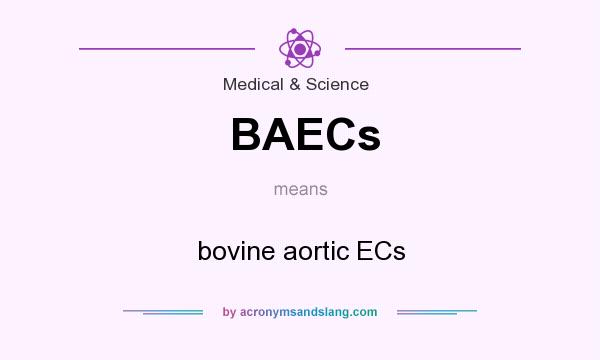 What does BAECs mean? It stands for bovine aortic ECs