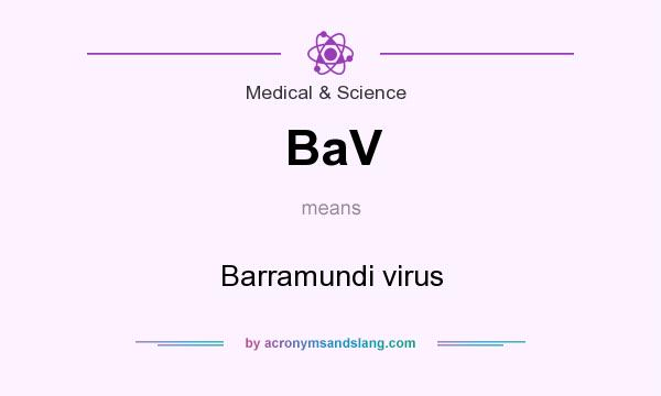 What does BaV mean? It stands for Barramundi virus
