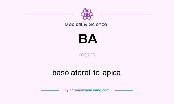 What does BA mean? It stands for basolateral-to-apical