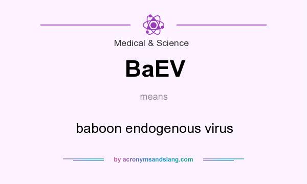 What does BaEV mean? It stands for baboon endogenous virus
