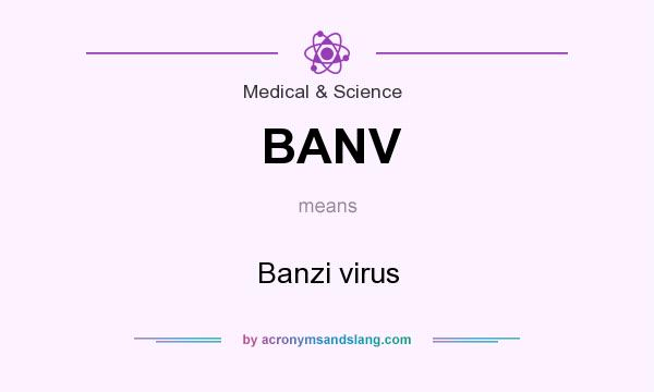 What does BANV mean? It stands for Banzi virus