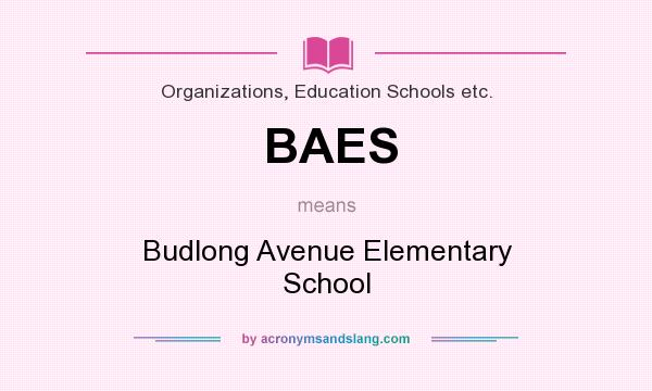 What does BAES mean? It stands for Budlong Avenue Elementary School