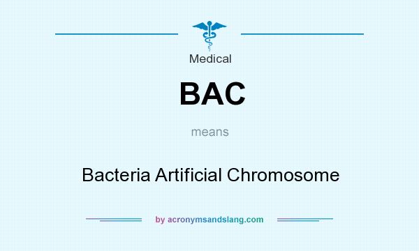 What does BAC mean? It stands for Bacteria Artificial Chromosome