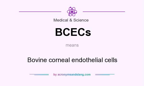 What does BCECs mean? It stands for Bovine corneal endothelial cells