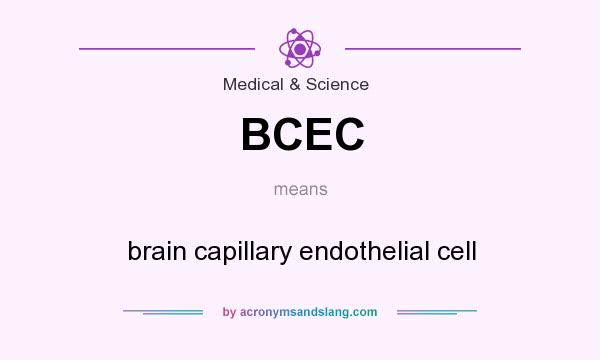 What does BCEC mean? It stands for brain capillary endothelial cell