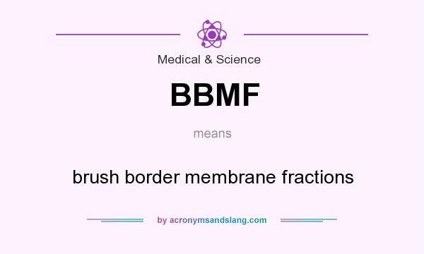 What does BBMF mean? It stands for brush border membrane fractions