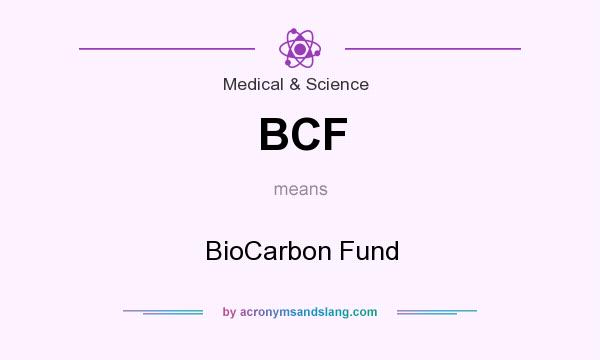 What does BCF mean? It stands for BioCarbon Fund