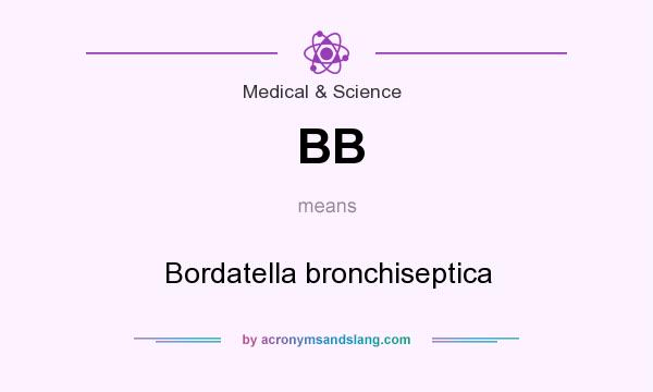 What does BB mean? It stands for Bordatella bronchiseptica