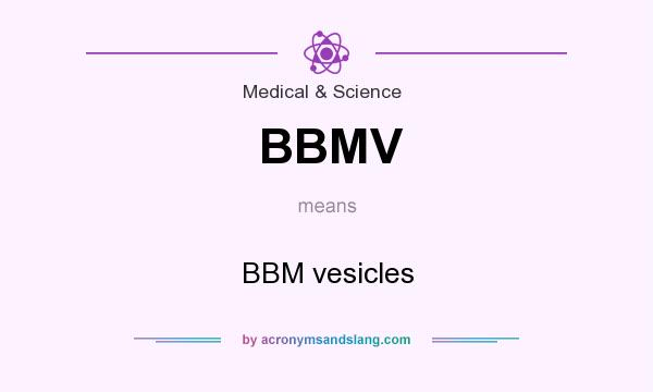 What does BBMV mean? It stands for BBM vesicles
