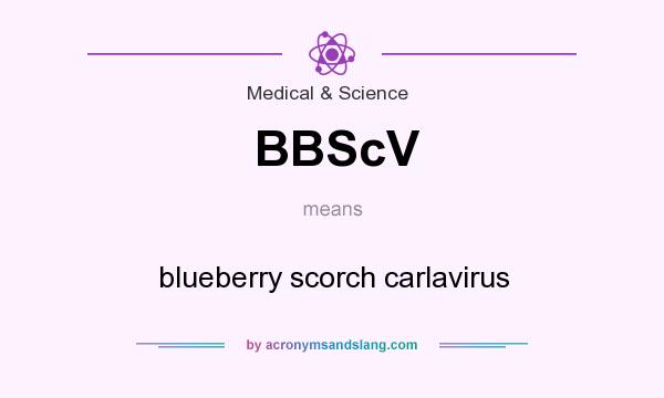 What does BBScV mean? It stands for blueberry scorch carlavirus