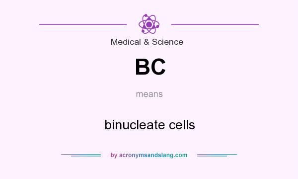 What does BC mean? It stands for binucleate cells