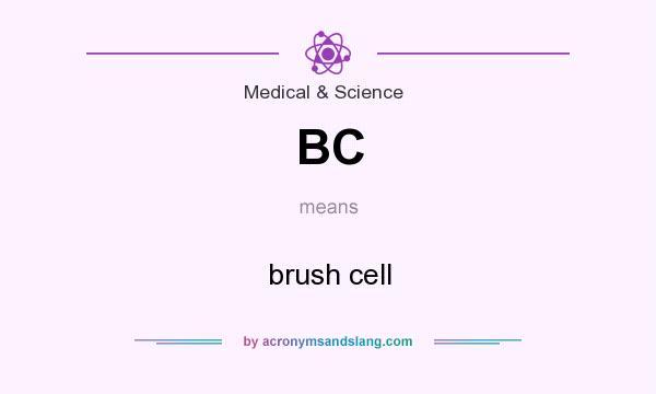 What does BC mean? It stands for brush cell