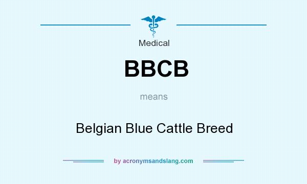 What does BBCB mean? It stands for Belgian Blue Cattle Breed