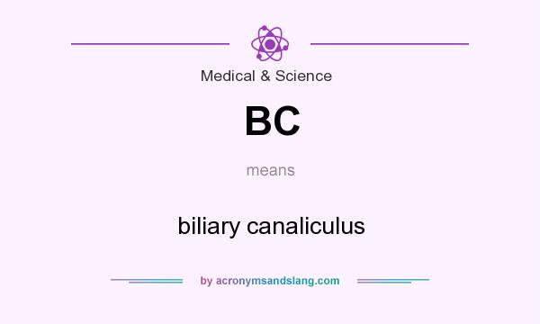 What does BC mean? It stands for biliary canaliculus