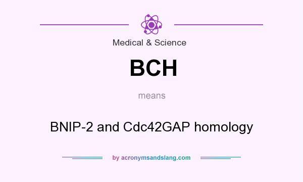 What does BCH mean? It stands for BNIP-2 and Cdc42GAP homology