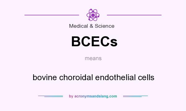 What does BCECs mean? It stands for bovine choroidal endothelial cells