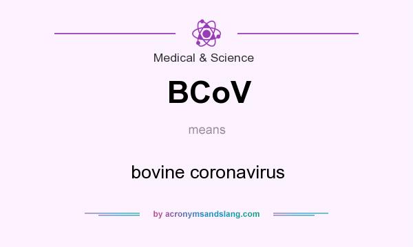 What does BCoV mean? It stands for bovine coronavirus