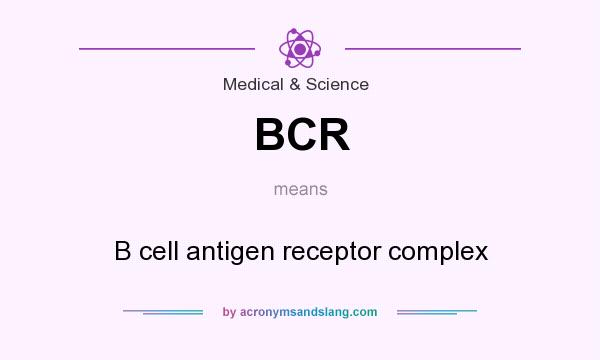 What does BCR mean? It stands for B cell antigen receptor complex