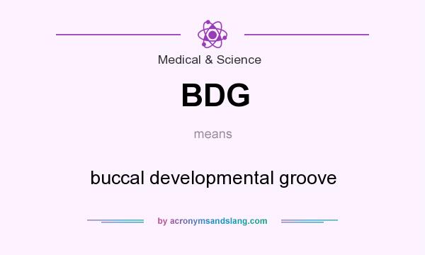 What does BDG mean? It stands for buccal developmental groove