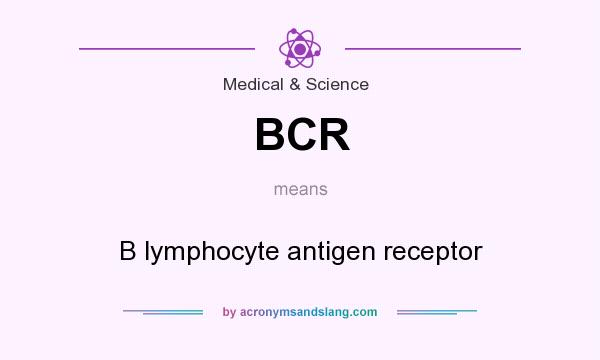 What does BCR mean? It stands for B lymphocyte antigen receptor