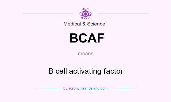 What does BCAF mean? It stands for B cell activating factor
