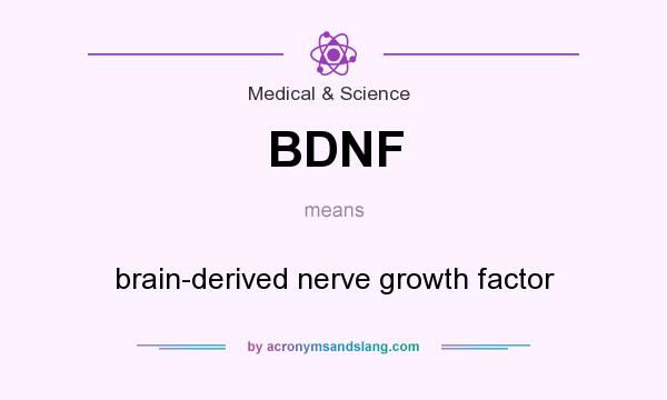 What does BDNF mean? It stands for brain-derived nerve growth factor