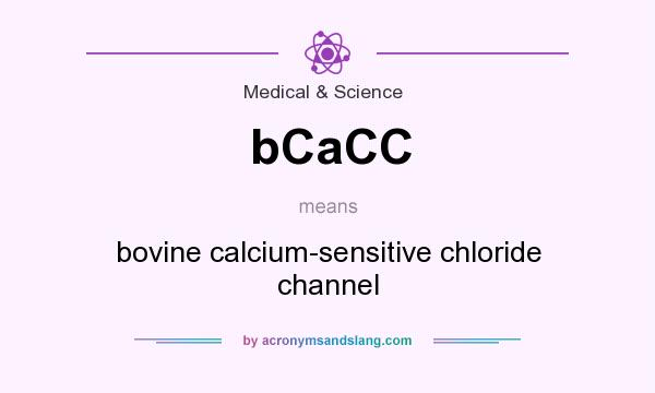 What does bCaCC mean? It stands for bovine calcium-sensitive chloride channel