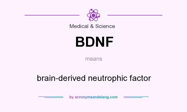 What does BDNF mean? It stands for brain-derived neutrophic factor