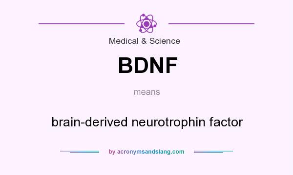What does BDNF mean? It stands for brain-derived neurotrophin factor