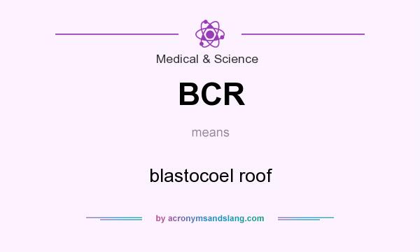 What does BCR mean? It stands for blastocoel roof