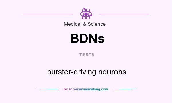 What does BDNs mean? It stands for burster-driving neurons