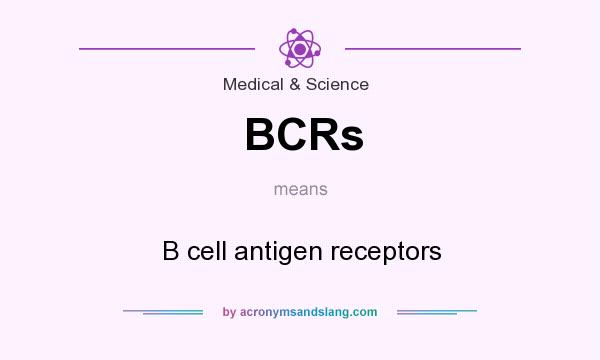 What does BCRs mean? It stands for B cell antigen receptors