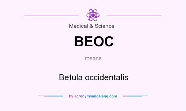 What does BEOC mean? It stands for Betula occidentalis