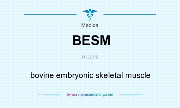 What does BESM mean? It stands for bovine embryonic skeletal muscle
