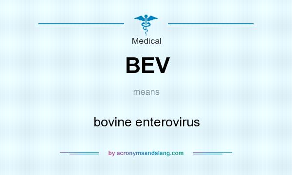 What does BEV mean? It stands for bovine enterovirus