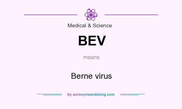What does BEV mean? It stands for Berne virus