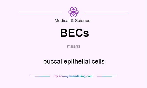 What does BECs mean? It stands for buccal epithelial cells