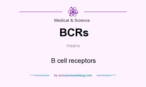 What does BCRs mean? It stands for B cell receptors