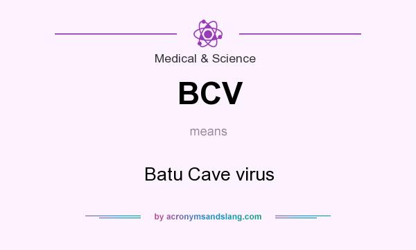 What does BCV mean? It stands for Batu Cave virus