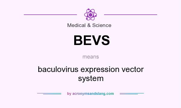 What does BEVS mean? It stands for baculovirus expression vector system