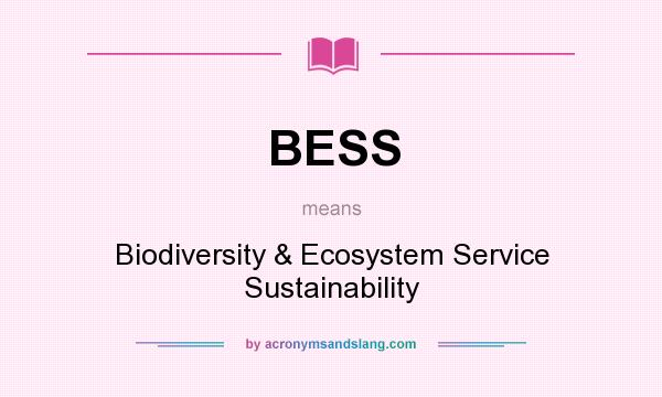What does BESS mean? It stands for Biodiversity & Ecosystem Service Sustainability