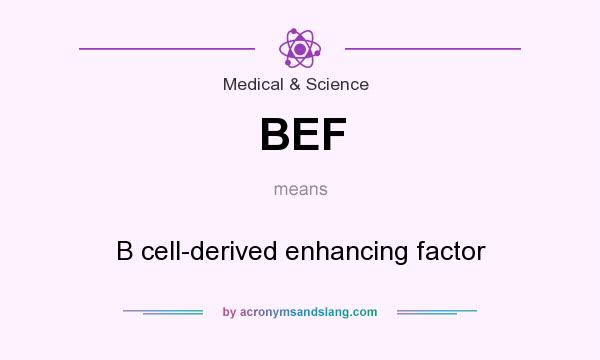 What does BEF mean? It stands for B cell-derived enhancing factor