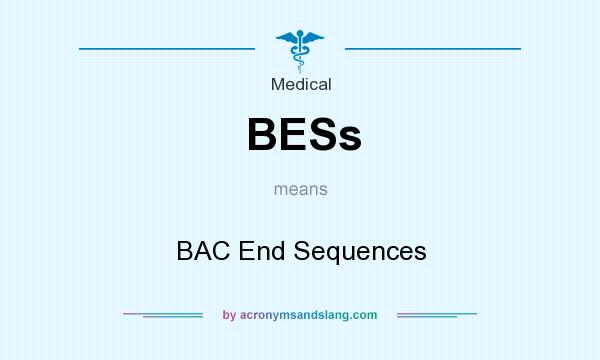 What does BESs mean? It stands for BAC End Sequences