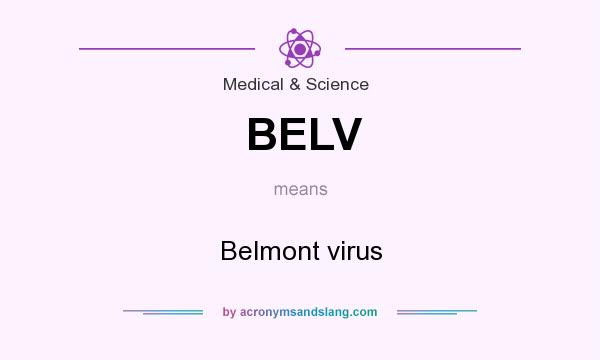 What does BELV mean? It stands for Belmont virus