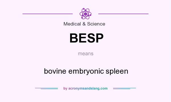 What does BESP mean? It stands for bovine embryonic spleen
