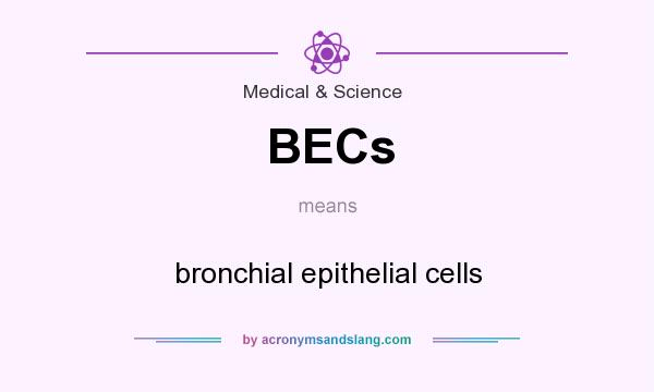 What does BECs mean? It stands for bronchial epithelial cells